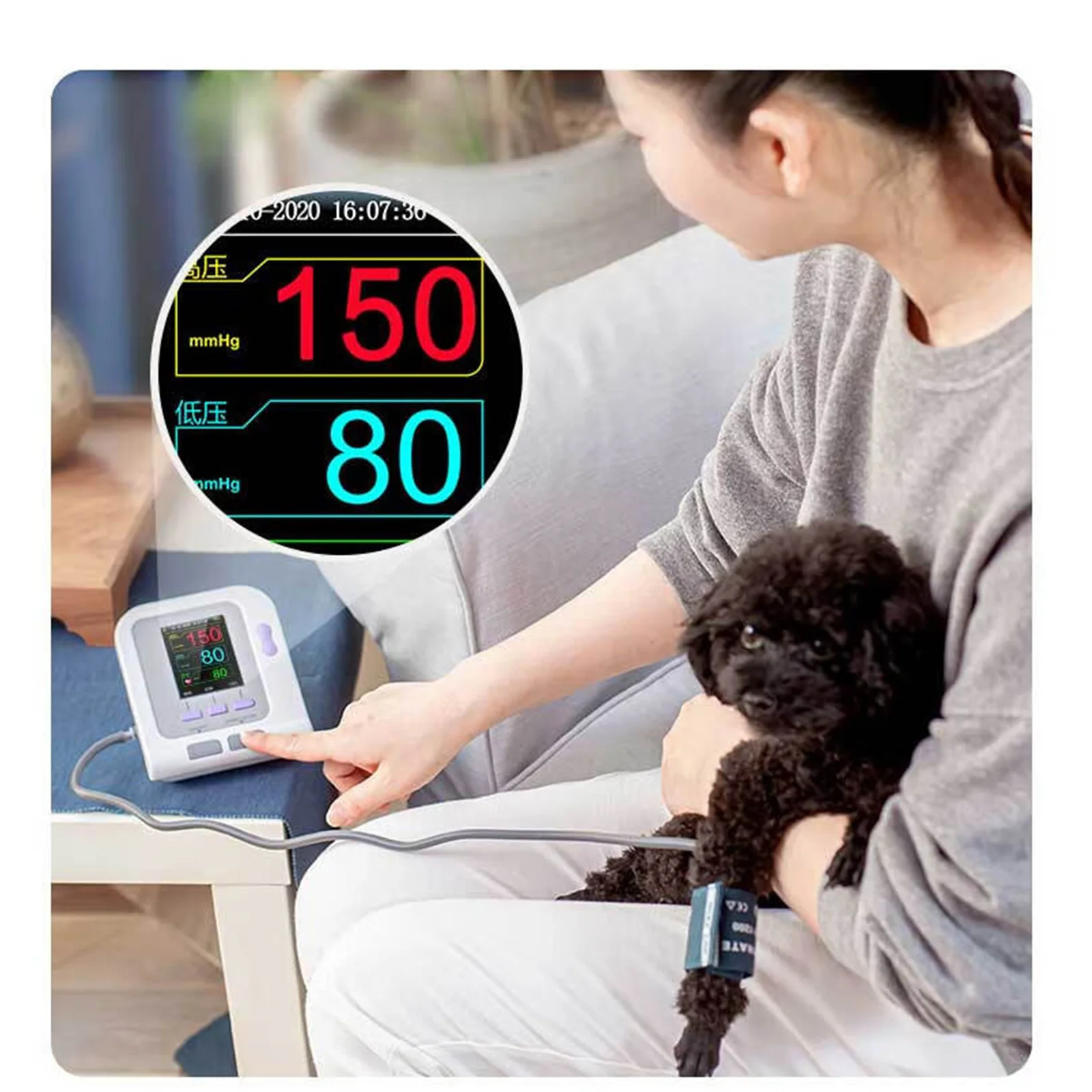 Pet blood Pressure Monitor, Connected to the Computer to always Detect the Pet\'s Physical Condition, Monitor