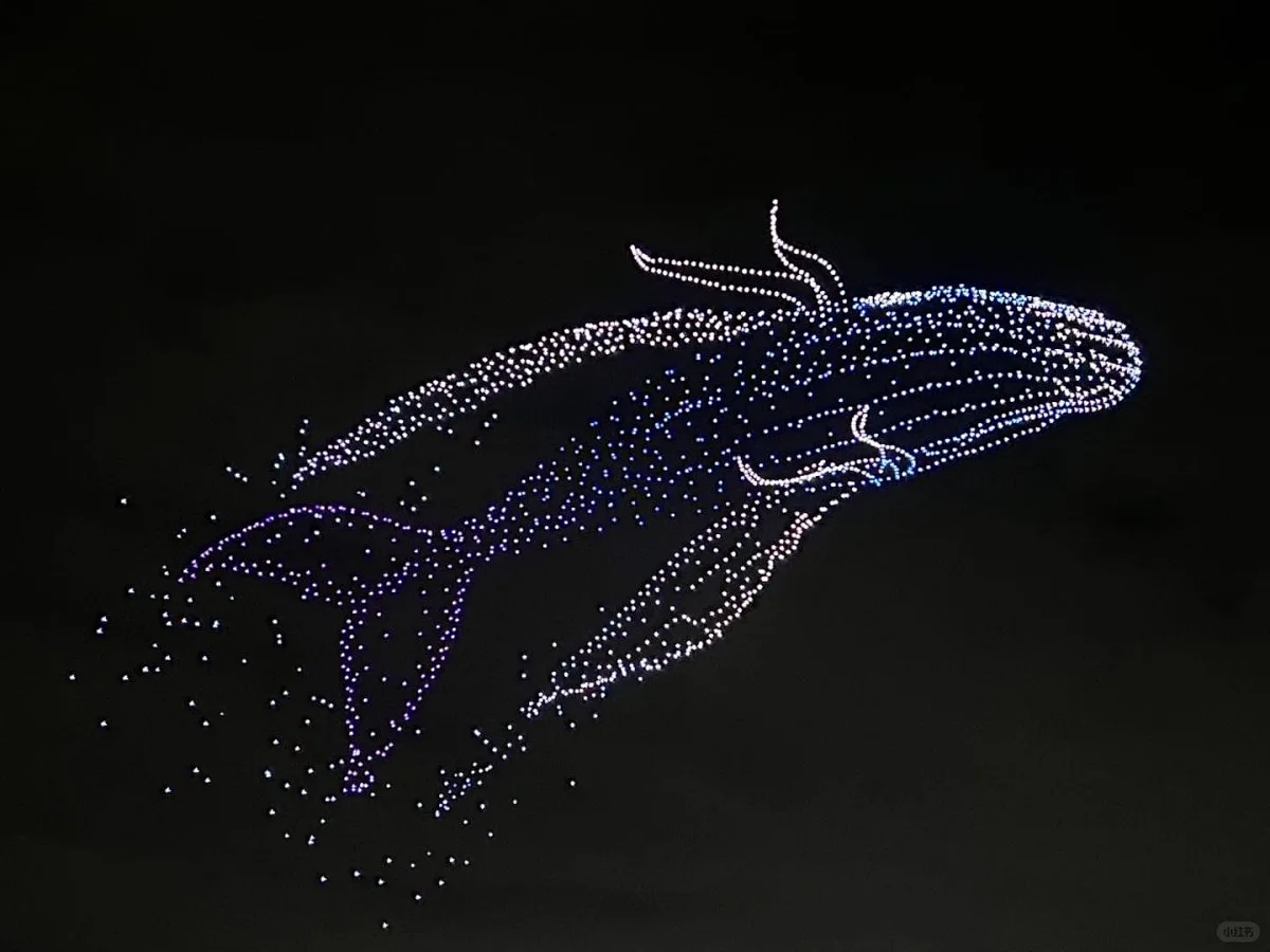 SKYLINK Professioneel Swarm Drone Lichtshow Systeem Programmeerbaar LED Animatie Vormgeving UAV voor Evenementen en Feesten