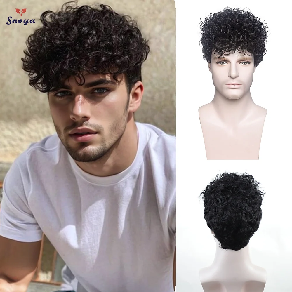 Mens Curly Synthetic Wigs Black Short Wig Heat Resistant Costume Wig Mens Daily Cosplay Party Halloween