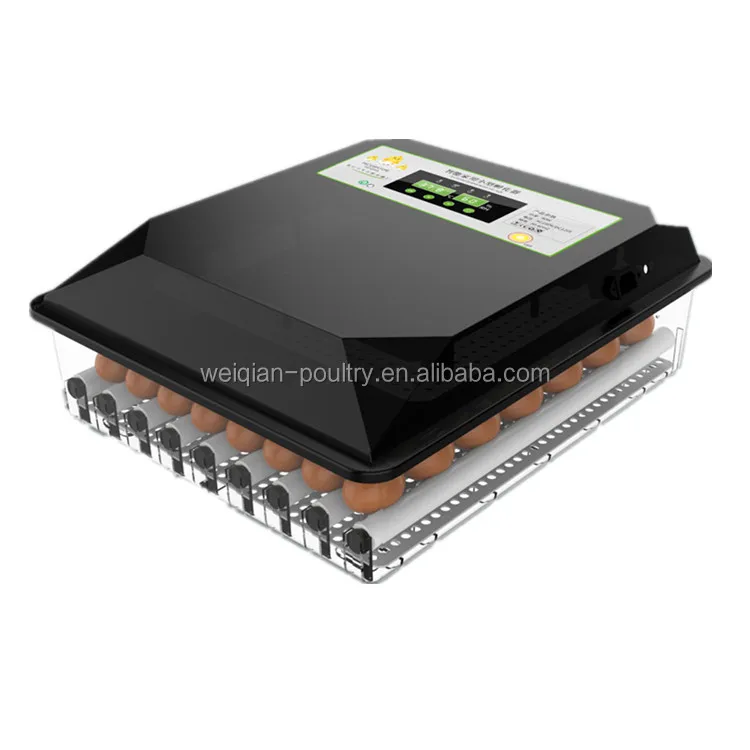 

Automatic Mini Incubator 64 Egg Hatcher Small Egg Hatcher For Sale