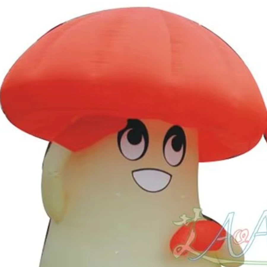 Door To Door Fast A… - image