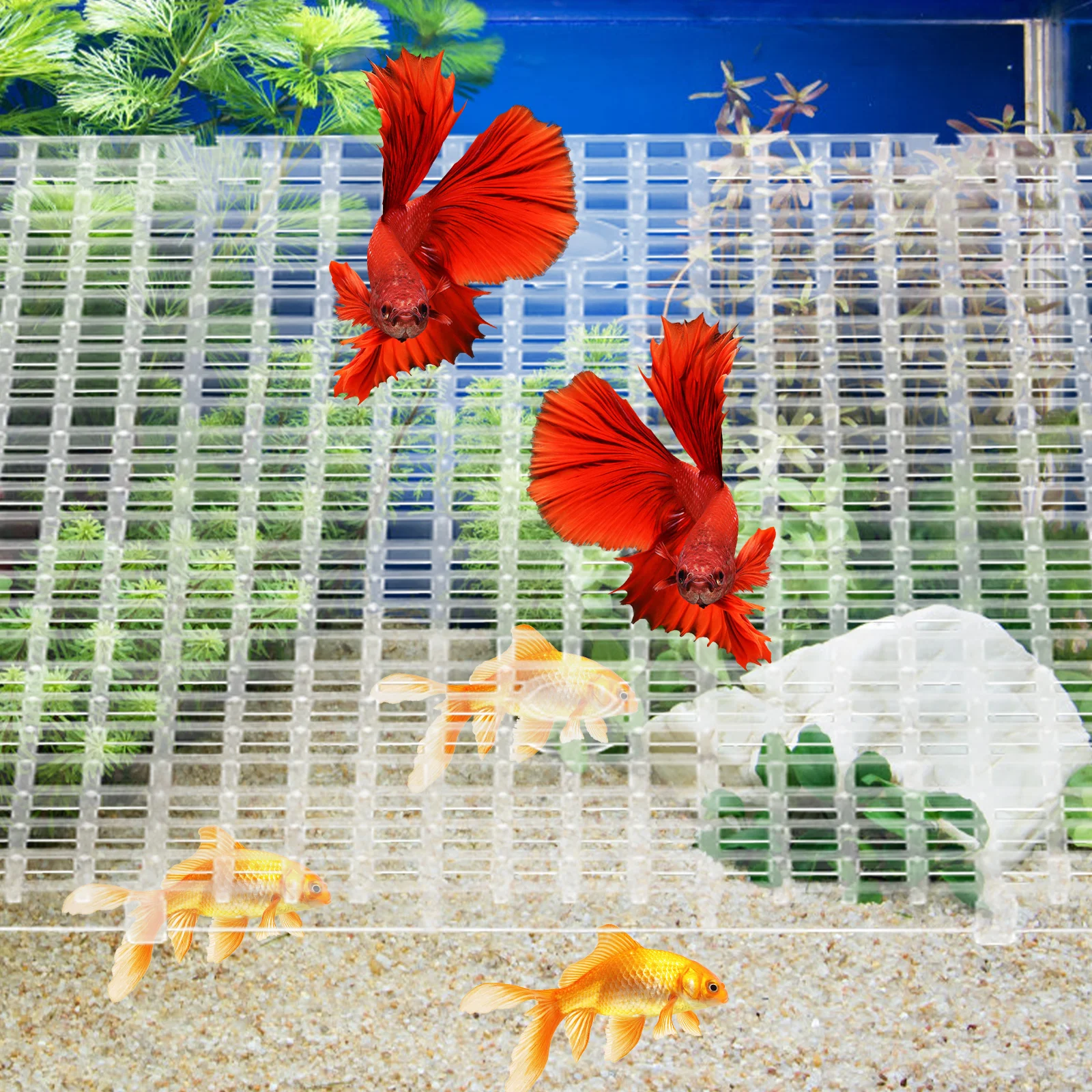 

4Pcs Fish Tank Divider PP Isolation Board Aquarium Tray Grid Easy Cut Durable Betta Reptile Separator Bottom Filter Plastic