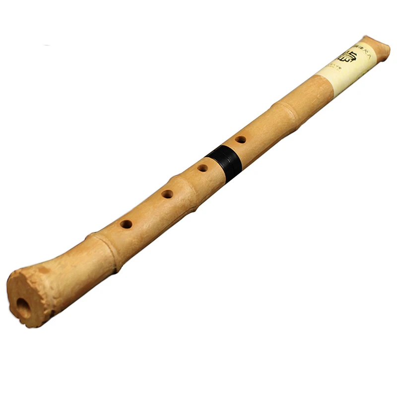 Resin Shakuhachi D Key Musical Instrument Wooden Musical Instruments Janpan Yuu Flute With Root Woodwind Instrument Not Nan Xiao