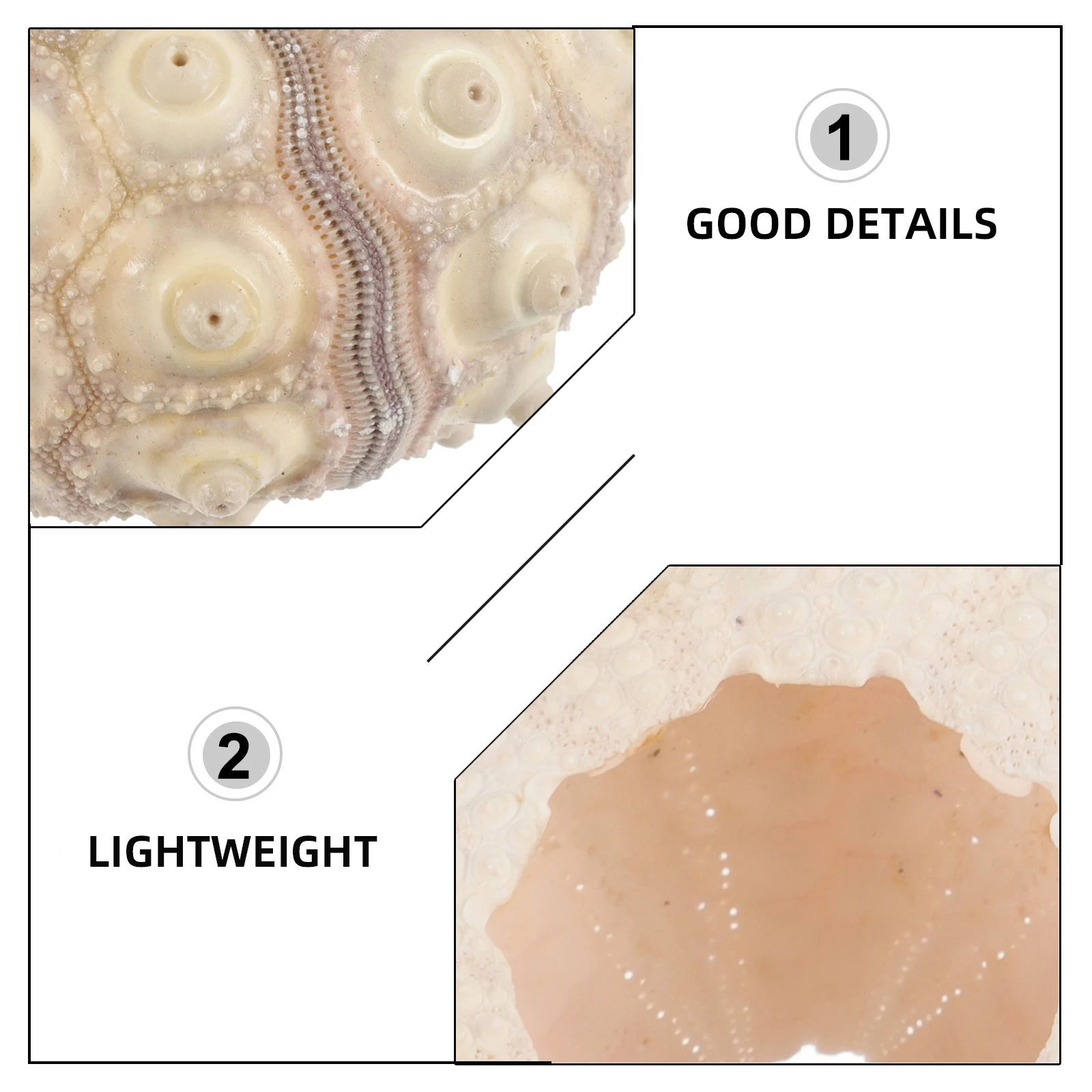 

5pcs Sea Shells Home Decoration Safe Durable Aquarium Landscape Ornaments Fish Tank Accessories Mini Decorations Pet