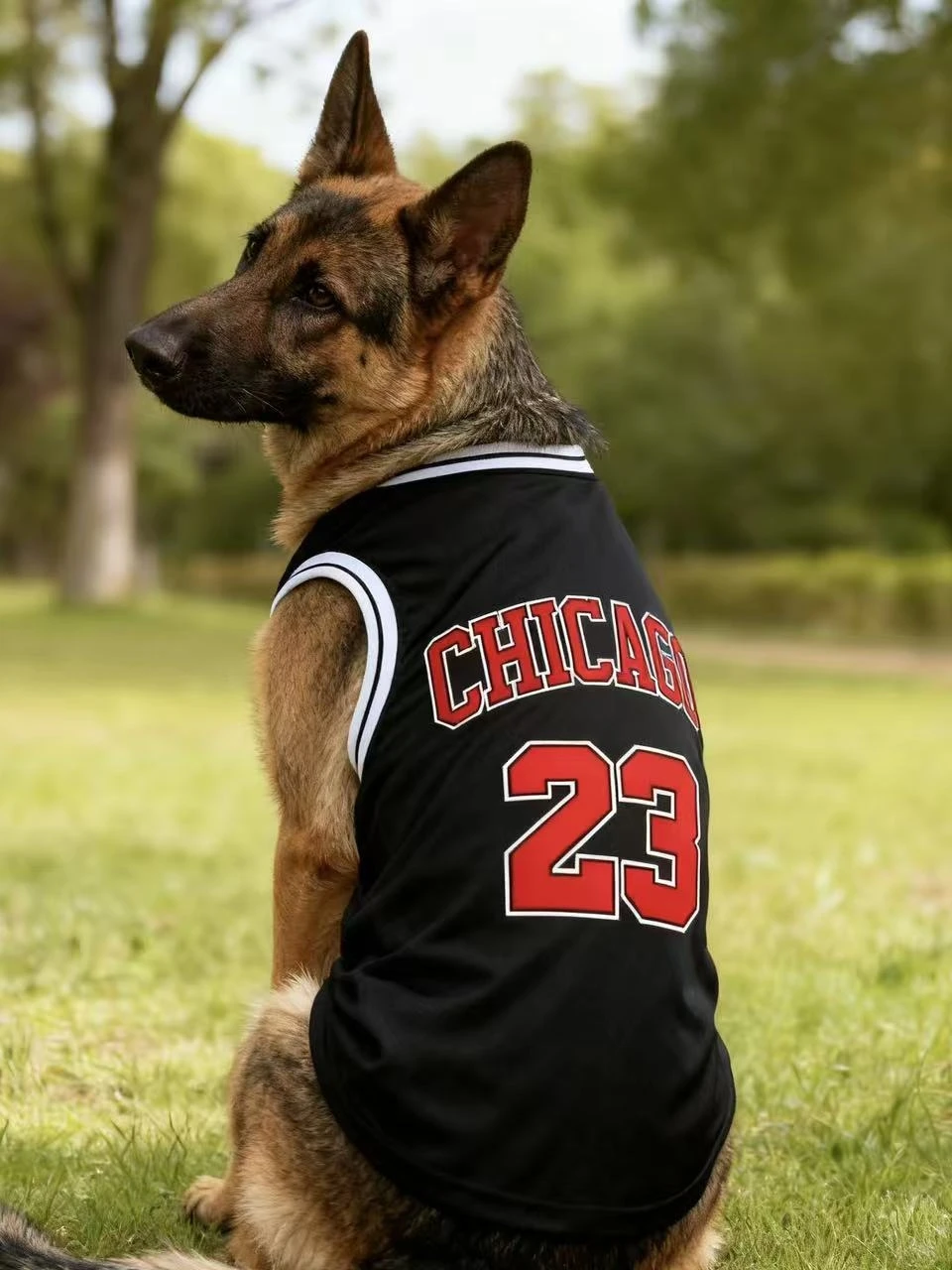 Sommerliches, leichtes, atmungsaktives Hundesport-Tanktop, Stil 23, für mittelgroße und große Rassen, Dobermann, Golden Retriever, Deutscher Schäferhund – Detail 2