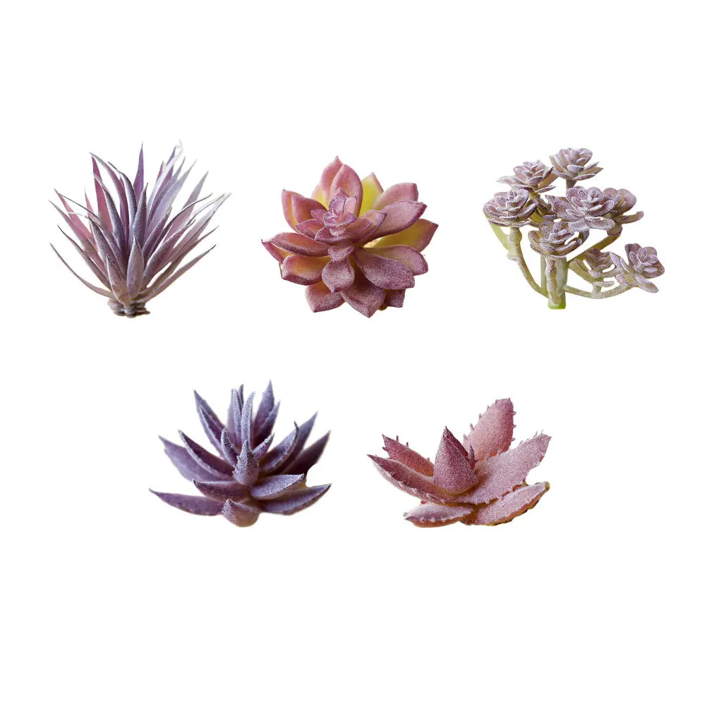 5 قطعة رأس زهرة عصارية محاكاة إبداعية نابض بالحياة رف سطح المكتب الأخضر ديكور زهرة اصطناعية متدفقة #3