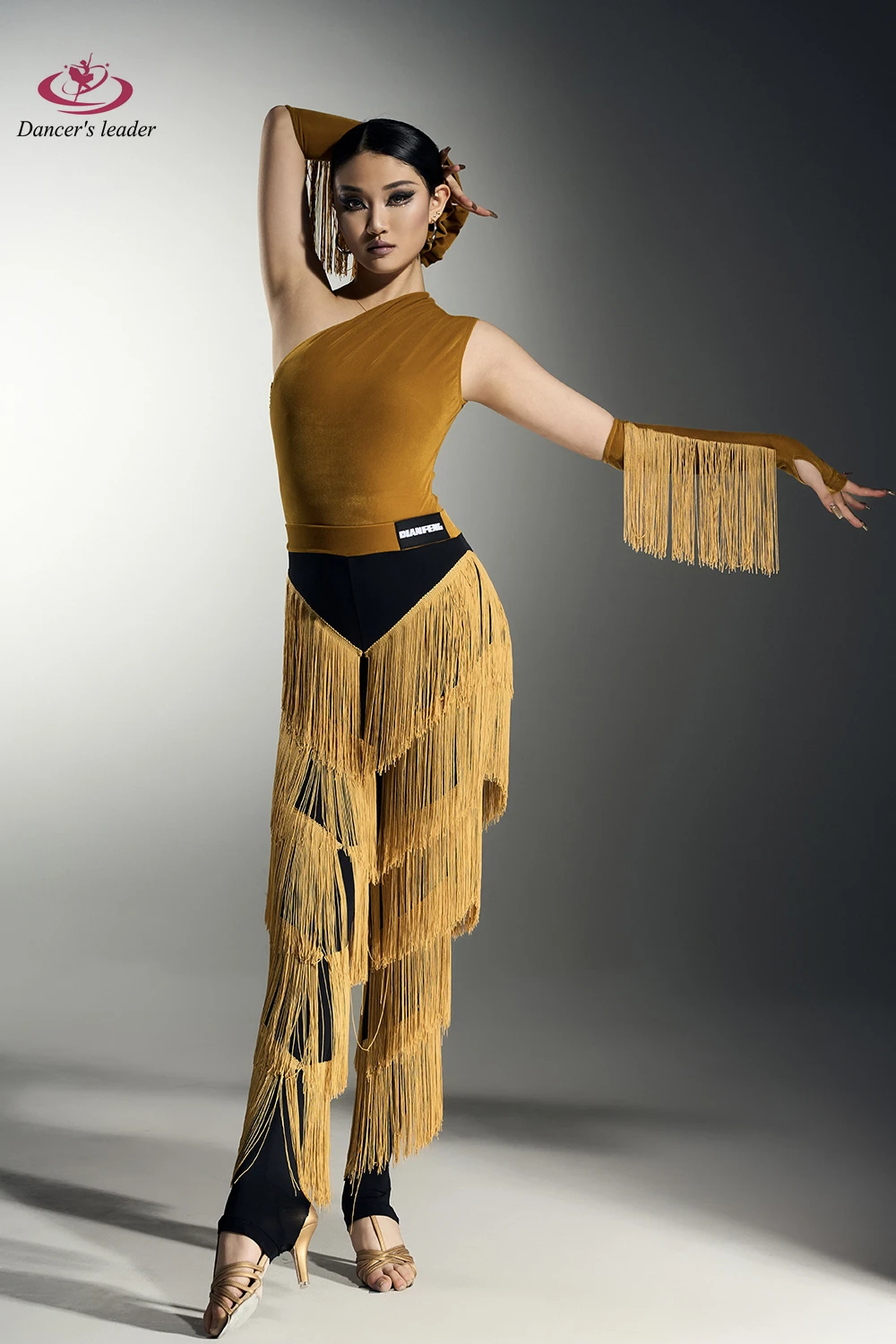 Robe de danse latine pour femmes, pour abonnés haut de gamme, avec pantalon à franges, vêtements professionnels de scène pour adultes