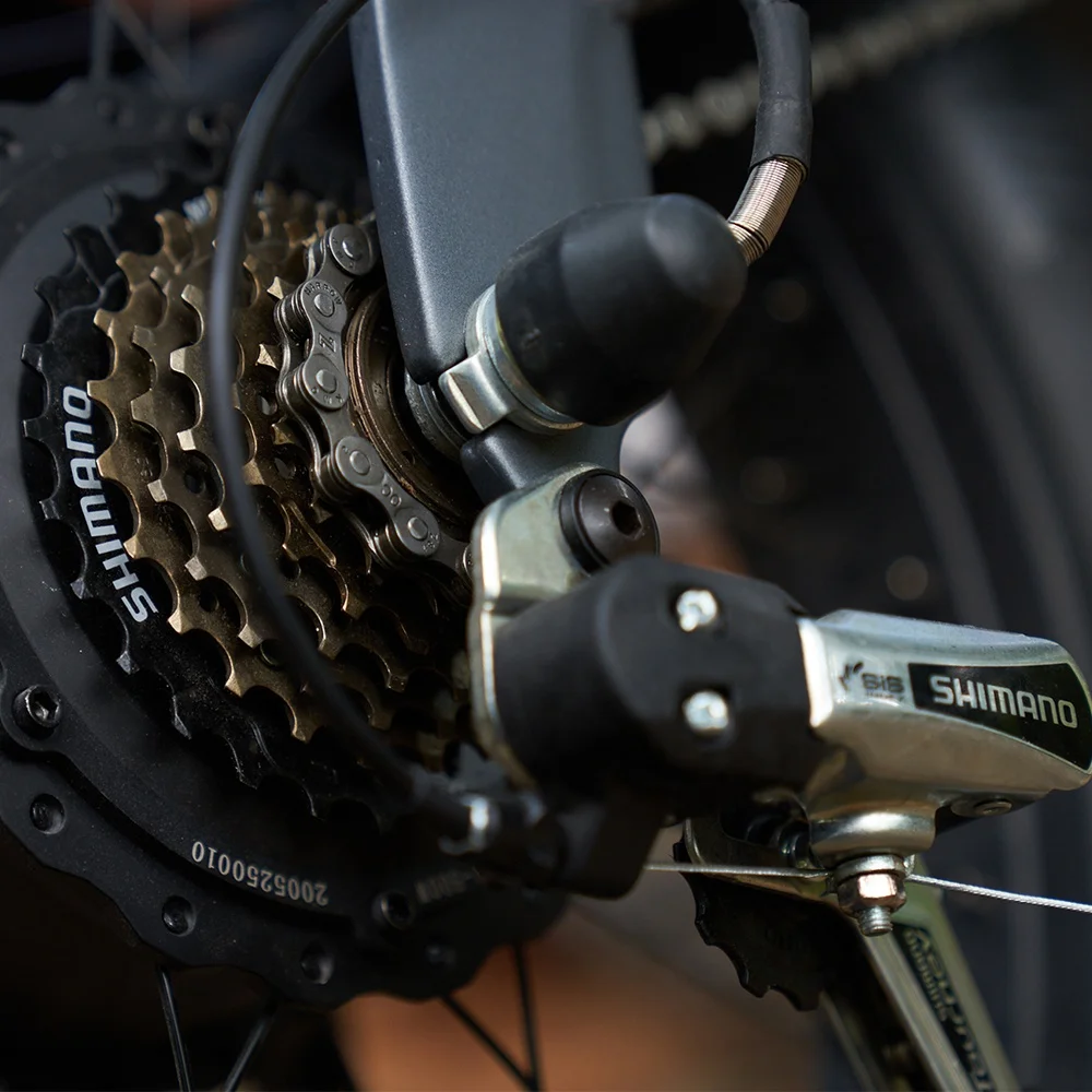 Coswheel T20 Fat Bike Professional Custom Sports Alloy Mountain Bike Big Tyre EV Mountain Fat Bikes Bicicleta for Men Cycling