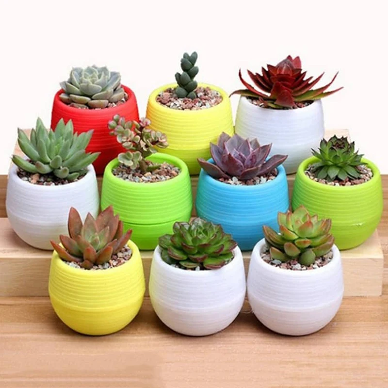 10/20 stücke Mini Blumentopf Kunststoff Sukkulente Topf Haushalt Büro Schreibtisch Garten Balkon Dekoration Pflanzung Versorgung TMZ – Detail 8
