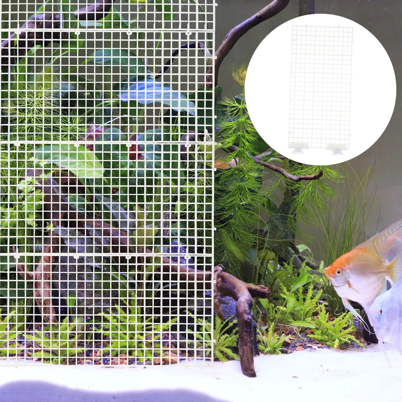

4pcs Aquarium Isolation Panel Lattice Plate Transparent 30X15Cm Fish Tank Divider Suction Cups Spliced Durable Breeding