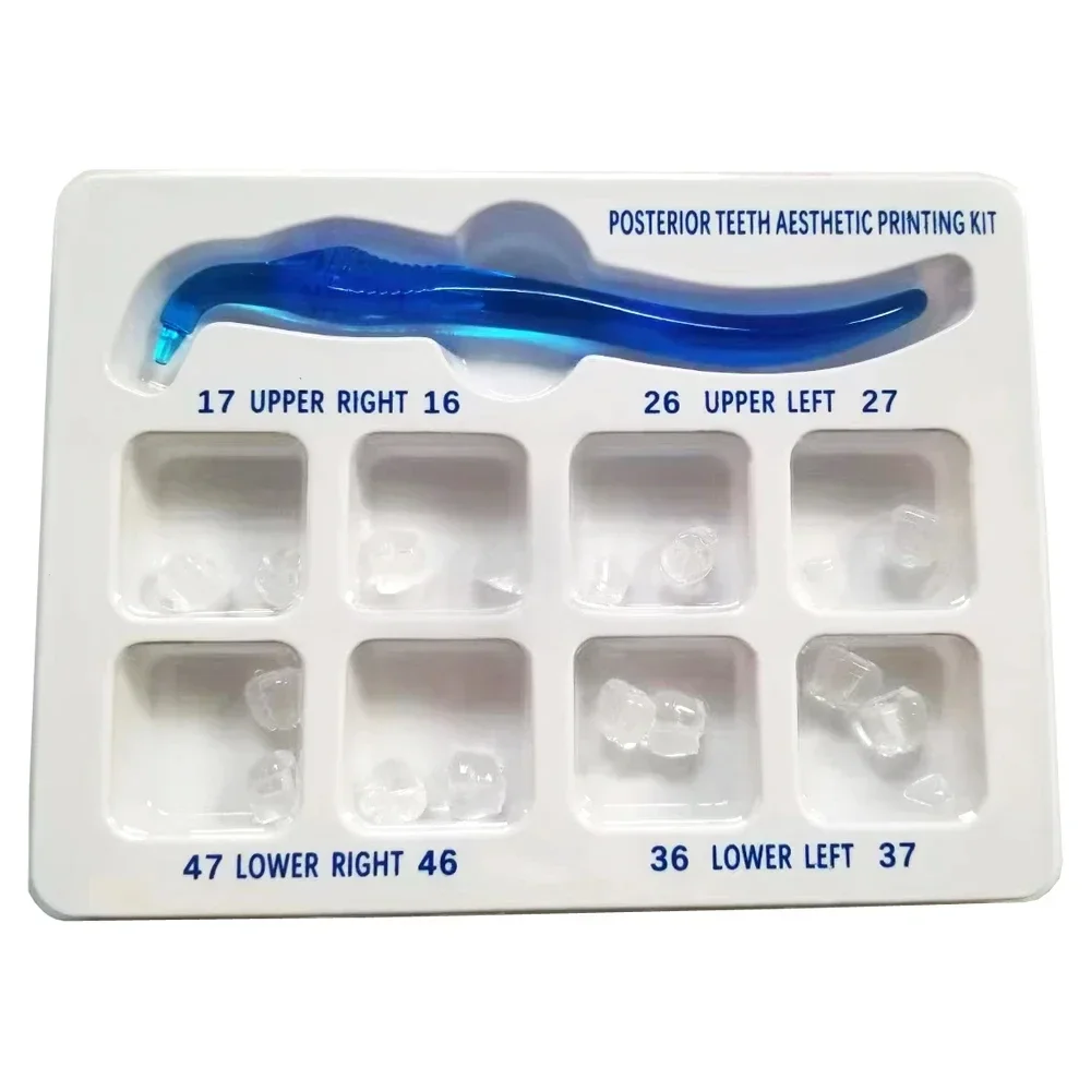 Dentals Posteriors Teeth Aesthetics Printing Mould Kits Perfectlys Reshapes Restorations Tooth Filling Oral Therapys Tools