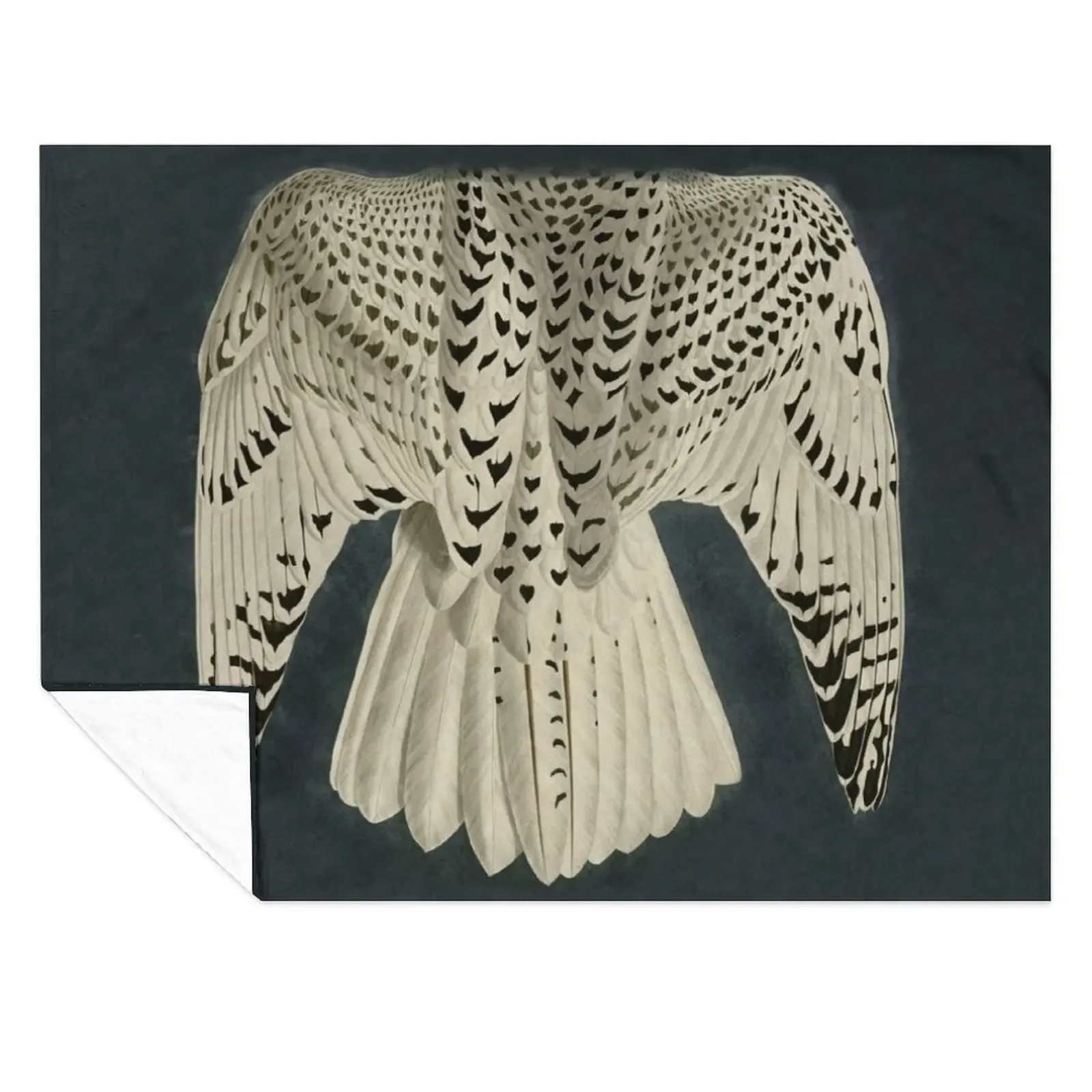 

Wings / Fragments of Iceland or Jer Falcon by J.J.Audubon / Vintage birds / Feathers Texture dark background Throw Blanket