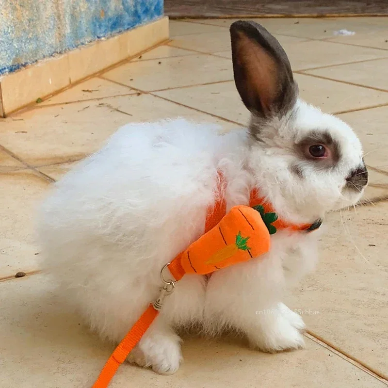 Walking Bunny Guinea Pig Harness Outdoor for Small Animals Cute Pet Rabbit Harnesses and Leash Hamster Chinchilla Accessories