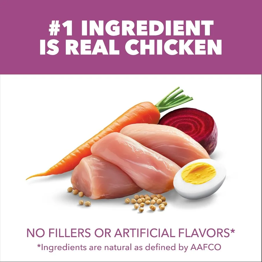 Proactive Health Healthy Aging Large Breed Dog Food for Mature and Senior Dogs with Real Chicken 30 lb. Bag