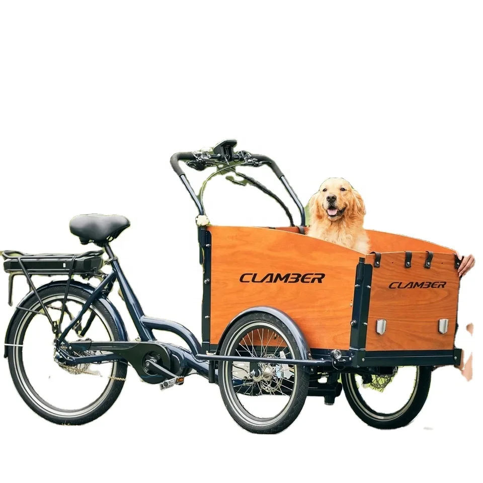 Factory direct sale pet electric tricycle dog travel bicycle motorized hydraulic disc brake househol electric tricycle