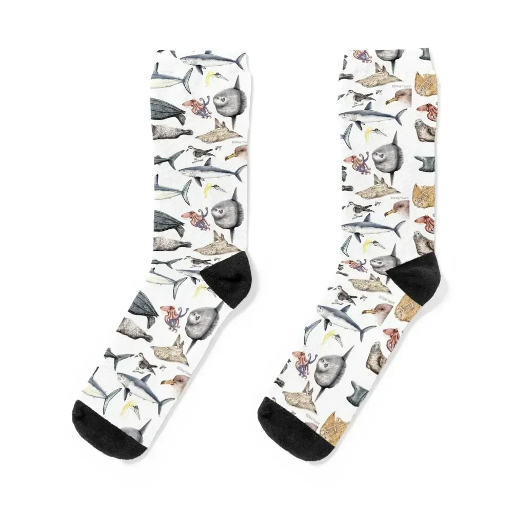 

Marine wildlife Socks Soccer designer brand Men's Novelties Socks Women's Men's