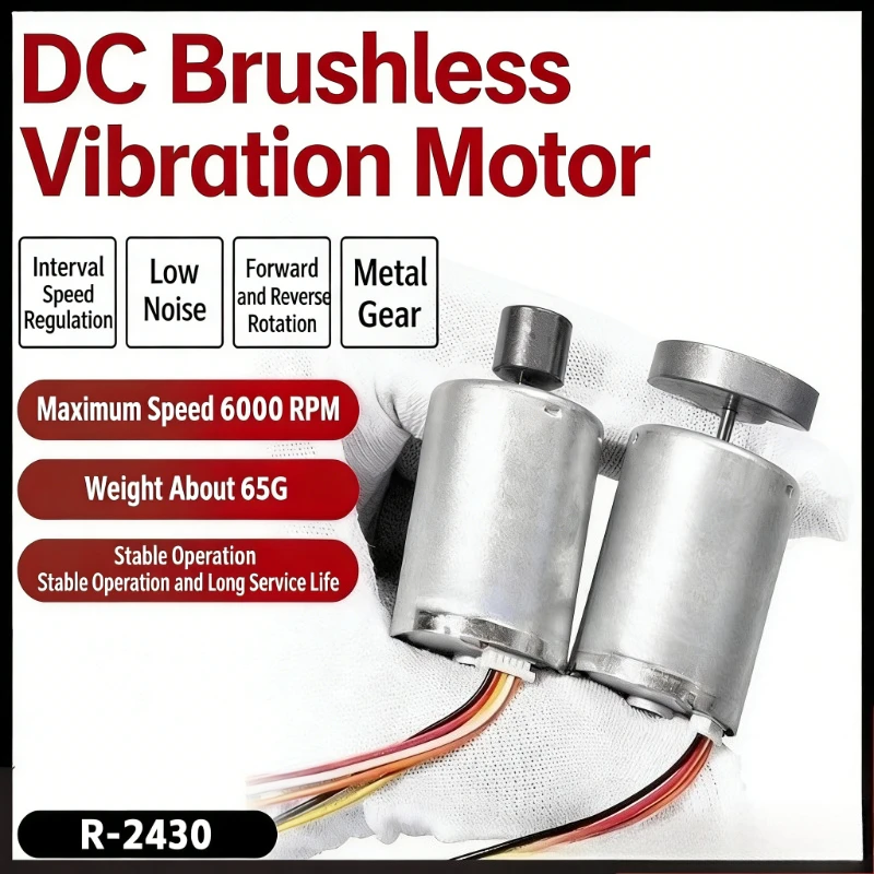 

Бесщеточный вибрационный двигатель постоянного тока R2430 с регулировкой скорости вращения вперед и назад, высокоскоростной малогабаритный мотор 12В/24В