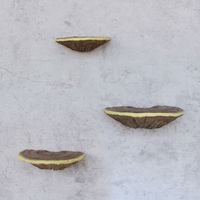 3Pcs/set Hanging Mushroom Wall Shelf Realistic Hand-painted Simulation Mushroom Pendant Decorative Garden Mushroom Ornament