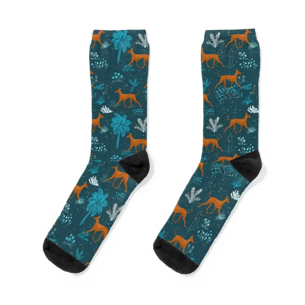 Pharaohounds Socks anti-slip funny gift Socks Woman Men's