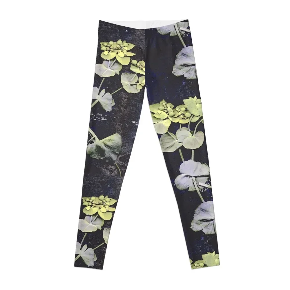 

Garrigue Leggings Legging sexy woman Clothing fitness Womens Leggings