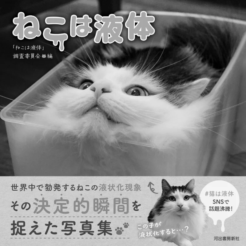 

Cats Are Liquid Liquid Committee Kawade Shobo Shinsha 9784309292588 Book