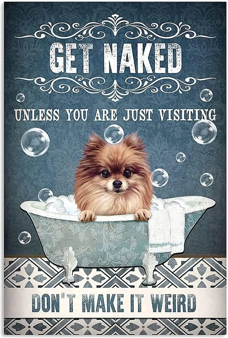 Vintage Signs Metal Signs Get Naked Unless You are Just Visig Don't Make It Weird Pomeranian Dog Tin Signs Vintage Retro