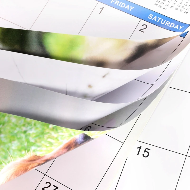 1 PCS 2024 Wall Calendar-2024 Calendar 12 Monthly Pooping Dogs Calendar 2024 Funny Gag Gifts