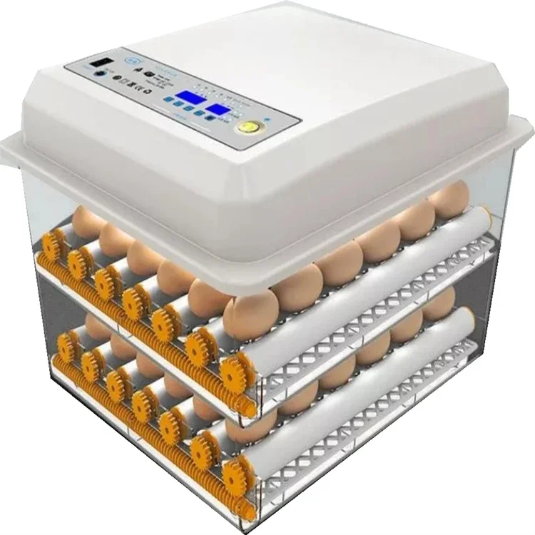 Full Automatic Chicken Egg Incubator In Africa For Sale /12V/220Vdouble Power Mini Egg Incubator