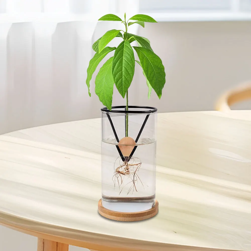 

4 шт., стартовая стойка для семян авокадо, треугольный держатель для выращивания авокадо, кронштейн для выращивания деревьев, садовый подарок