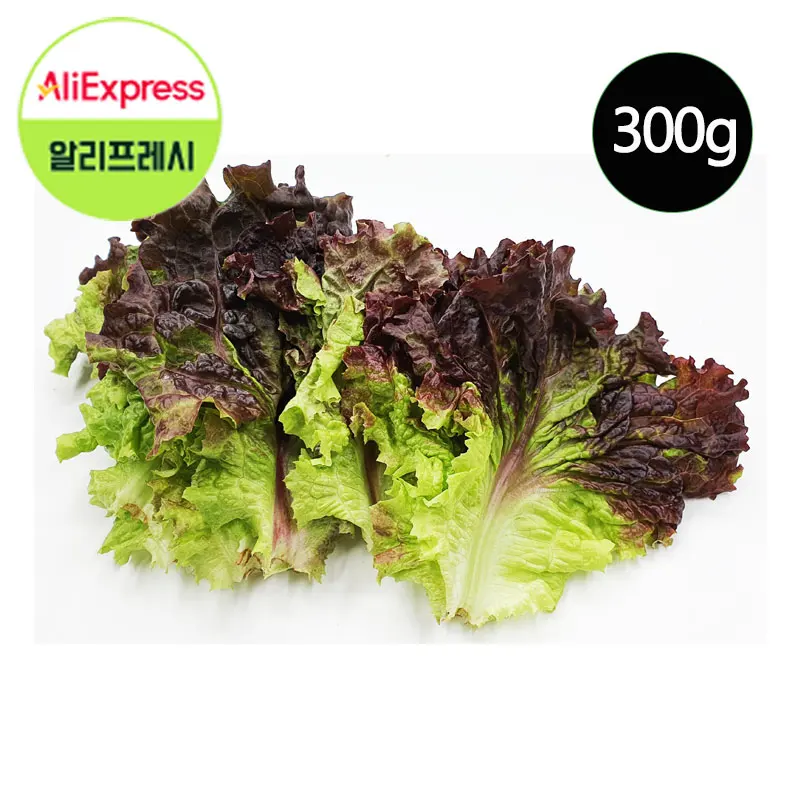 الخس الأحمر #1