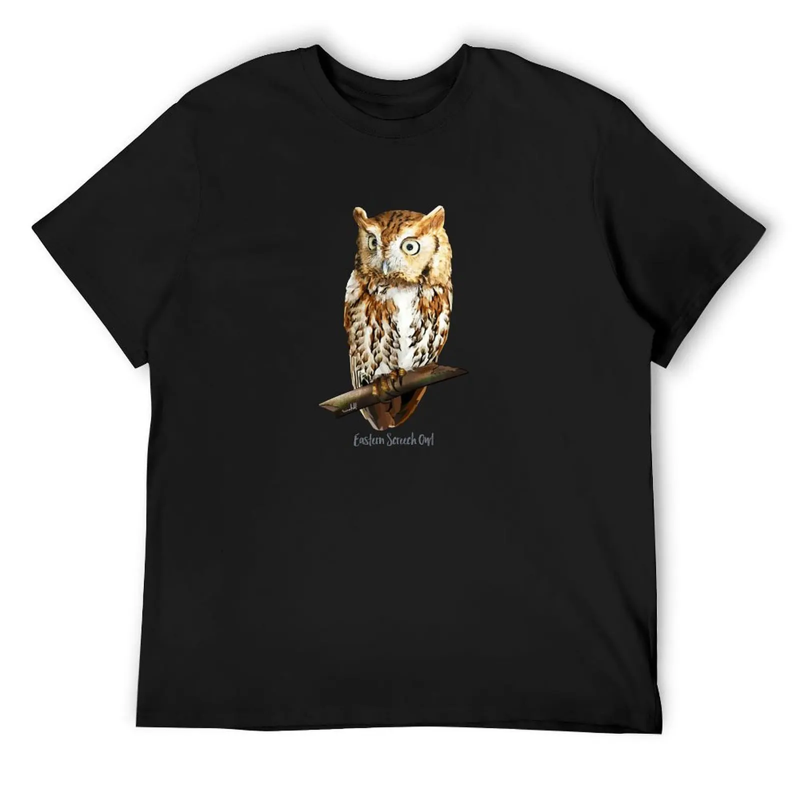 Screech Owl Wildlife Bird T-Shirt anime t shirts anime figures sweat T-shirt men