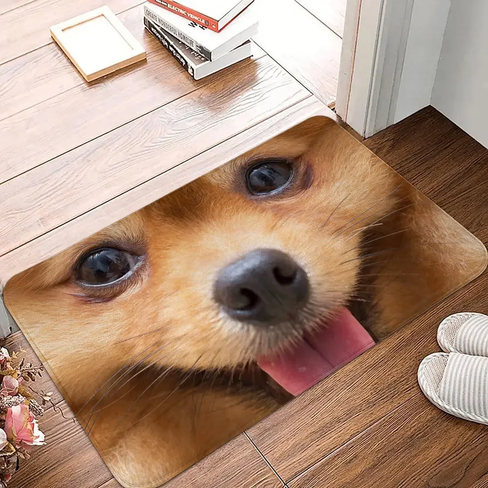 Bedroom Balcony Non-Slip Rug Entrance Door Mat Floor Dog Funny Pug Schnauzer Kitchen Living Room