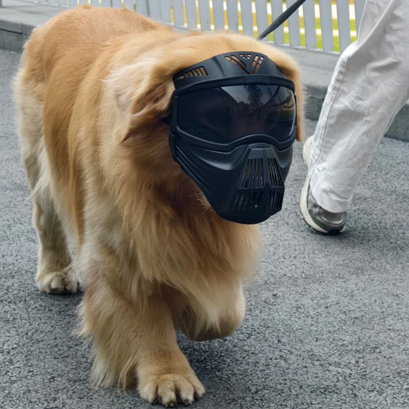 

Очки для собак 2 в 1, маска для собак средних и крупных пород, полная защита лица, защита от УФ-лучей, противотуманные солнцезащитные очки для домашних животных для прогулок на открытом воздухе