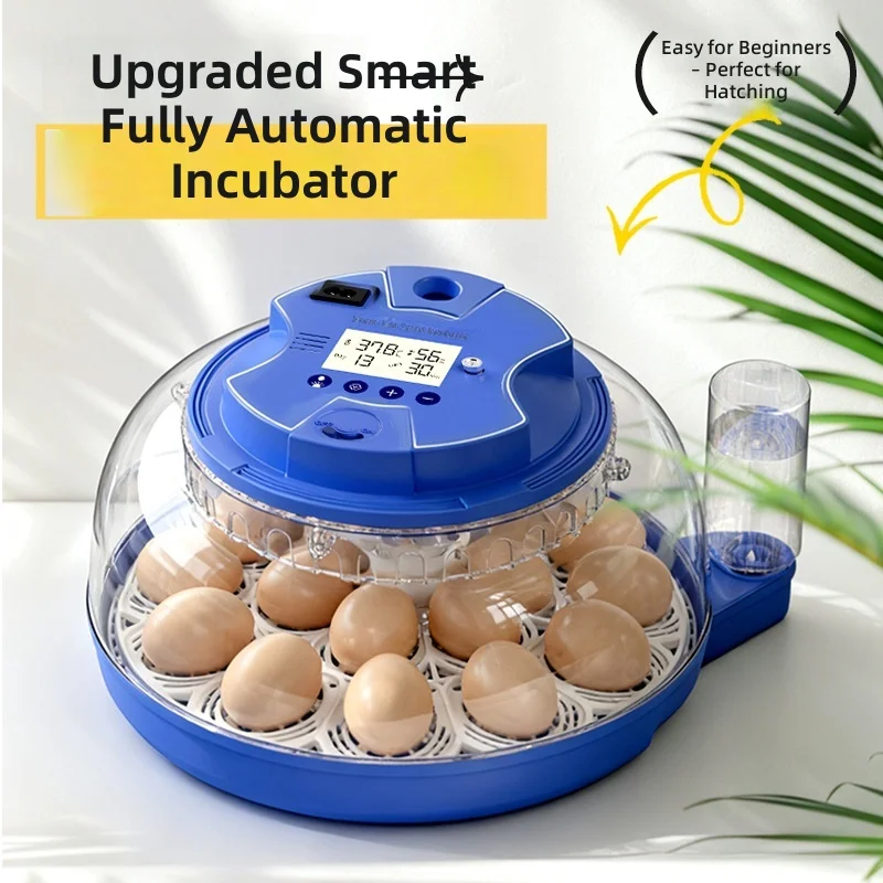 Automatic Incubator for Chicken Eggs, Intelligent Hatching Machine, Parrot Quail Egg Incubator, Home Use, Baby Chick Hatcher