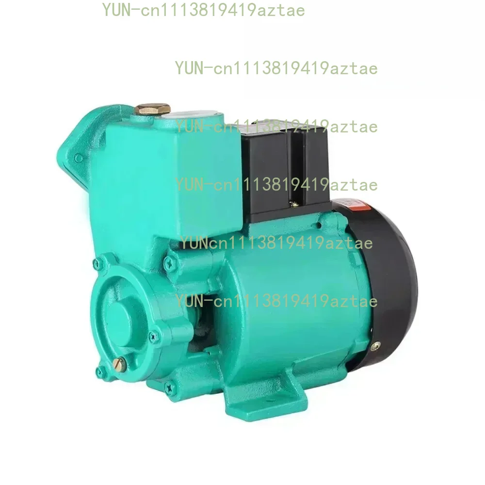 220V 125W 200W 370W Household Manual Booster Pump Cast Iron Tap Water Pipe Cold And Hot Water Self-priming Pump