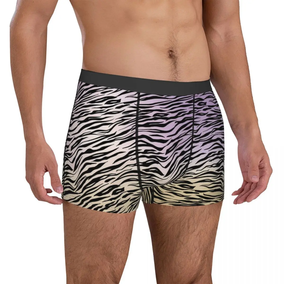 Watercolor Ombre Underwear Zebra Print Cute Underpants Print Boxer Brief Pouch Men Plus Size Boxershorts