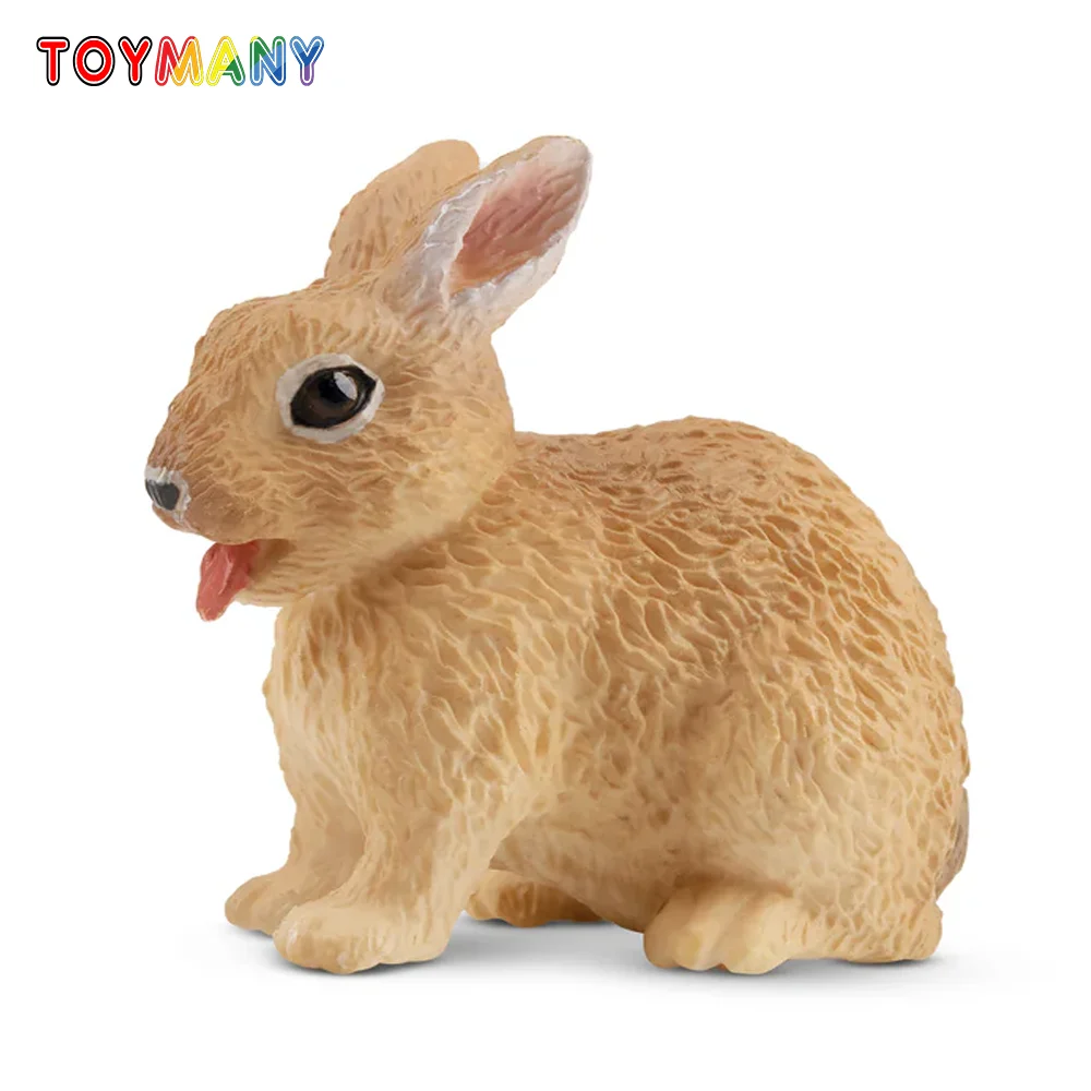 Toymany Simulation  Netherland Dwarf Rabbit Wildlife Animal Model Toy Mini Figures Dolls Action Figurines Toys Children Gift