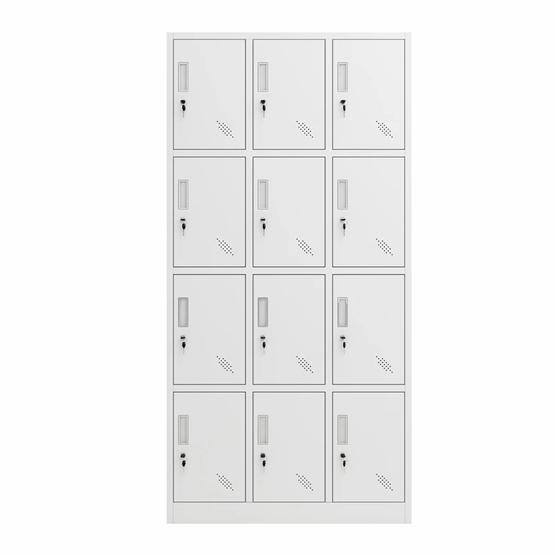 Modern 12-Door Steel Anti-Rust Cabinet For Hotel Office Bedroom School Workshop Living Room Hospital Use-Lockable Durable