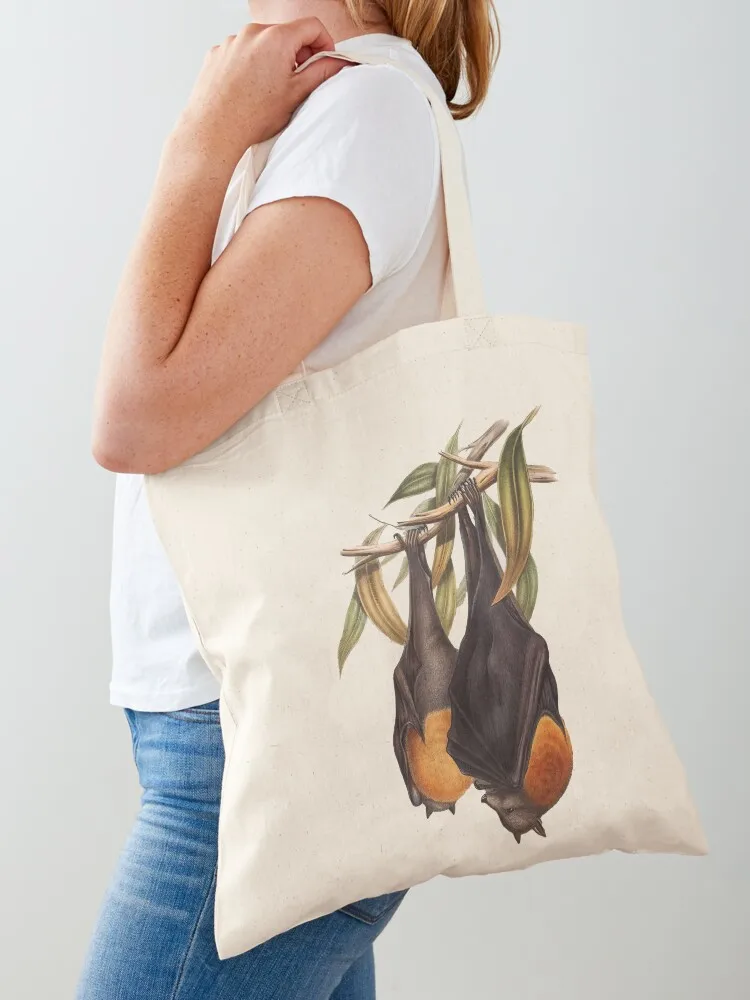 

Australian Flying Fox Fruit Bat Pteropus poliocephalus by John Gould Tote Bag tote bag women tote bag custom