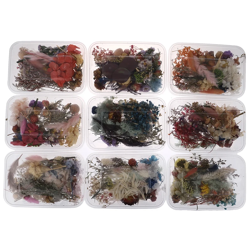 200Pcs Dried Flowers For DIY Epoxy Resin Candle Making Jewellery Glass Filler