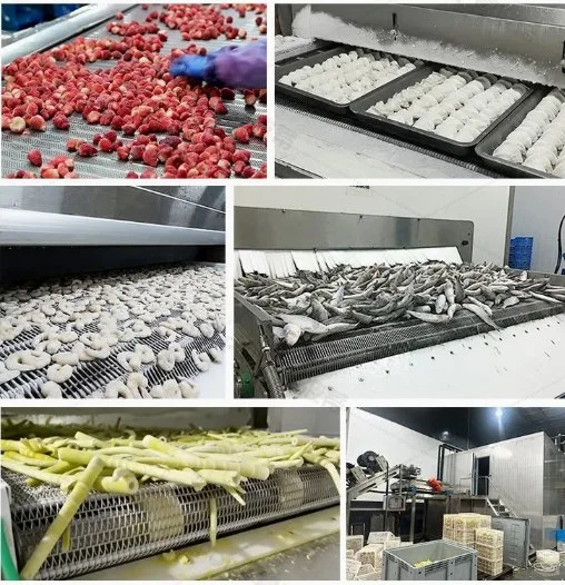 Shock Freezing Equipment Liquid Nitrogen IQF Freezer for Commercial & Industrial Use