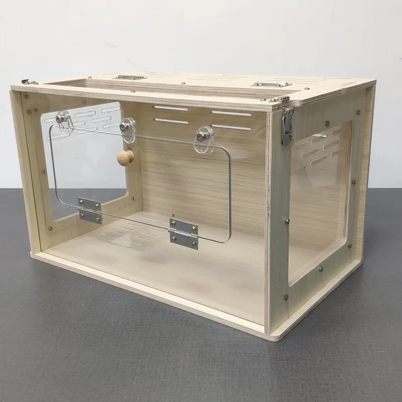 Palace-keeping double-door feeding box acrylic feeding box eyelash horn lizard chameleon mane lion lizard climbing cabinet