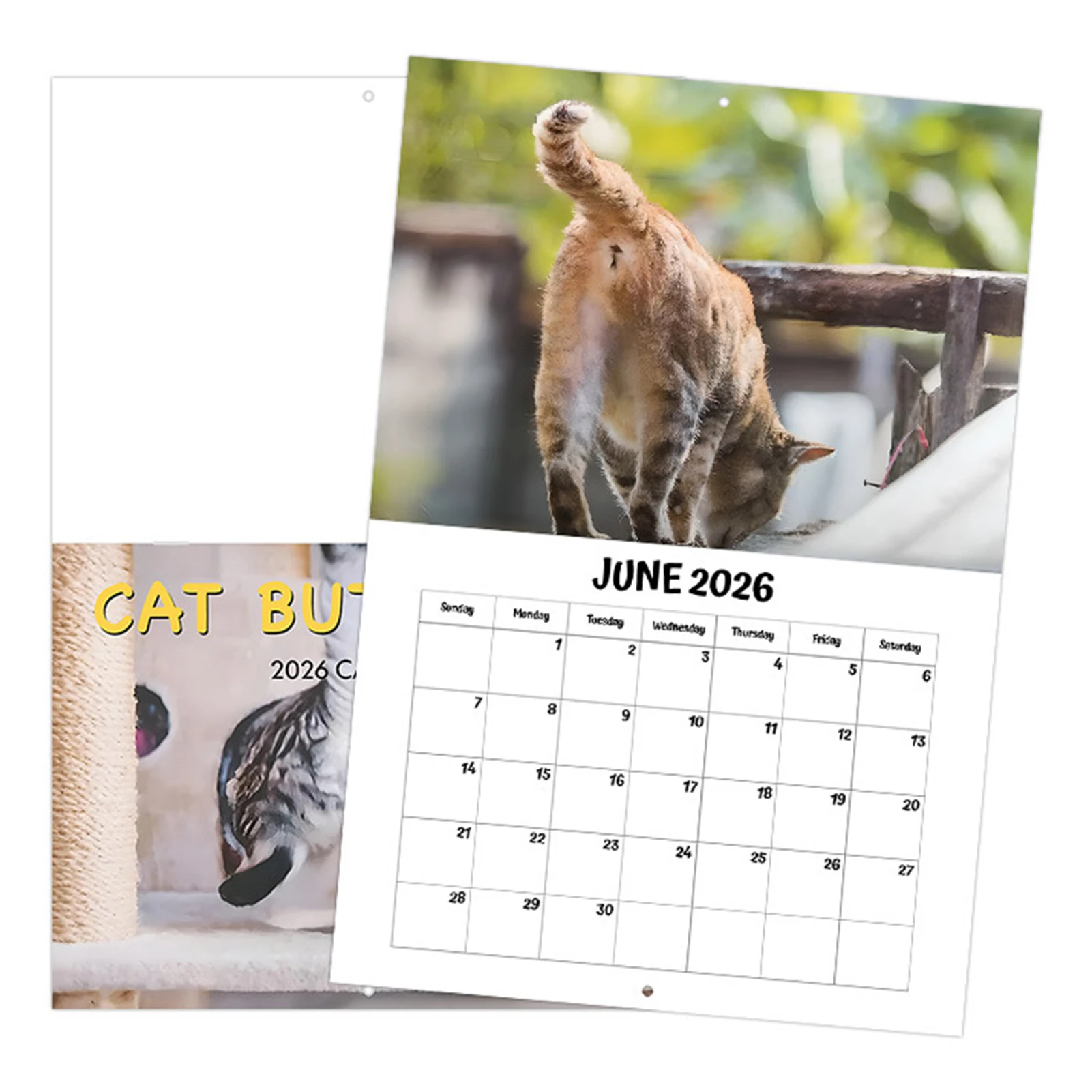 

Забавный настенный календарь с кошачьими мотивами на 2026 год (12 месяцев), с возможностью записей, для дома и офиса