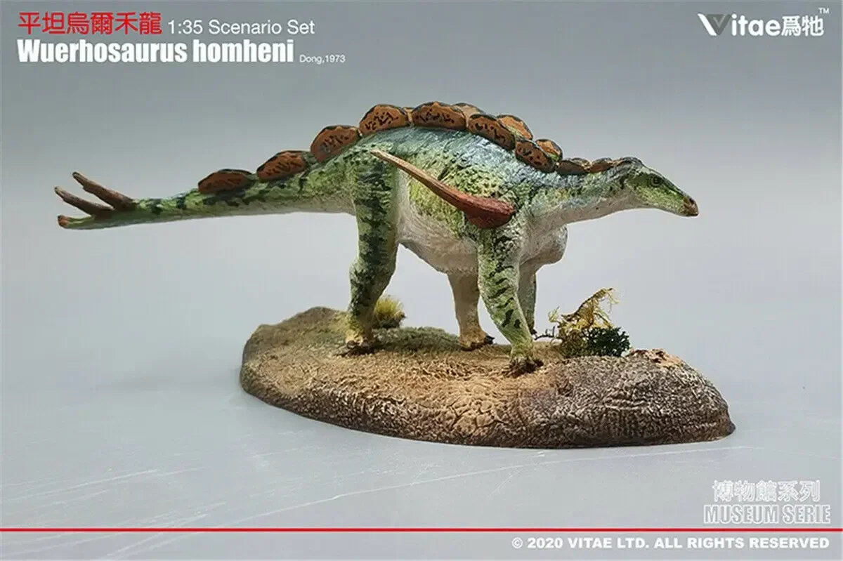 IN STOCK! Vitae 1:35 Scale  Wuerhosaurus homheni Dong Figure Stegosaurus Dinosaur Toys Animal Collector Adults Gift