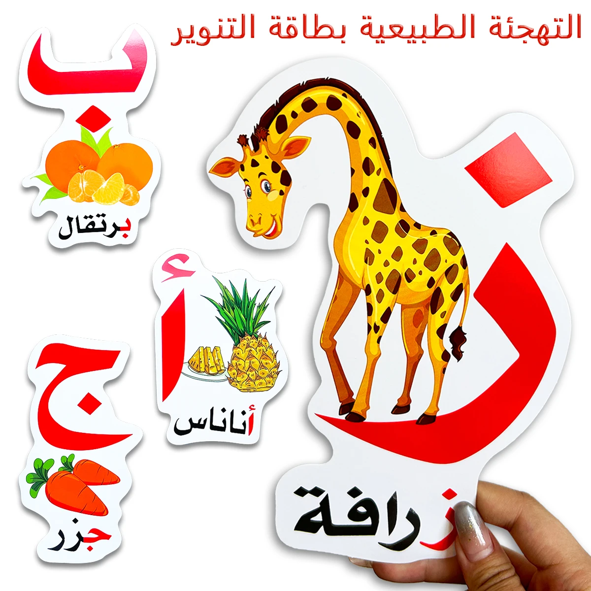 

Набор обучающих карточек с арабским алфавитом и красочными иллюстрациями фруктов и животных для детей, образовательный инструмент для раннего обучения