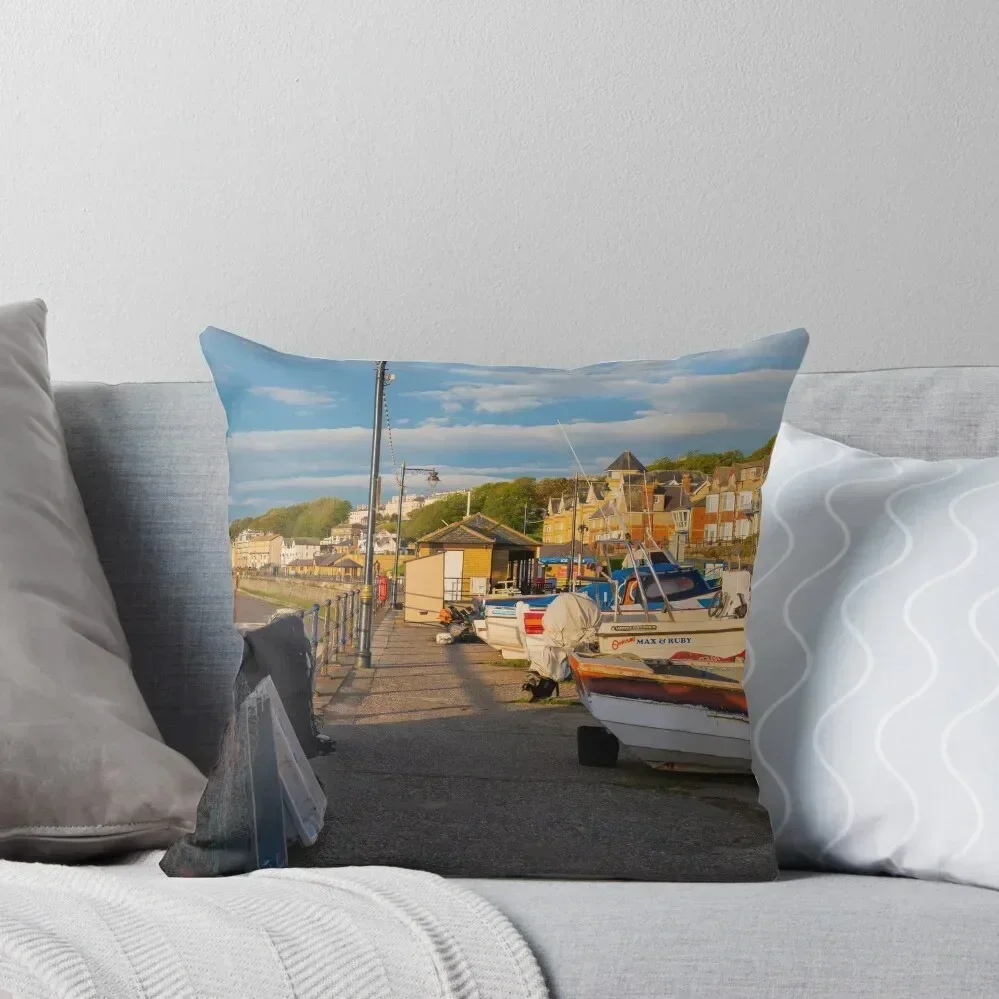 

Filey Coble Landing Throw Pillow Christmas Pillow Cases Cushions For Children Custom Cushion autumn decoration pillow