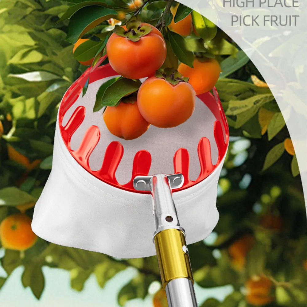 1,9/2,5/3/4/5/6 Meter Verfügbar, Obstpflücker, Hochhöhen-Obstpflück- und Sammelwerkzeug, Praktisch und Bequem, Speziell – Detail 1