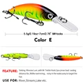 color  E