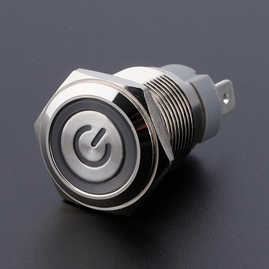 15A Large Current Load 1NO Flat Head Metal Push Button Switch Power Symbol LED Ring Light Momentary/Latching Push Button Switch