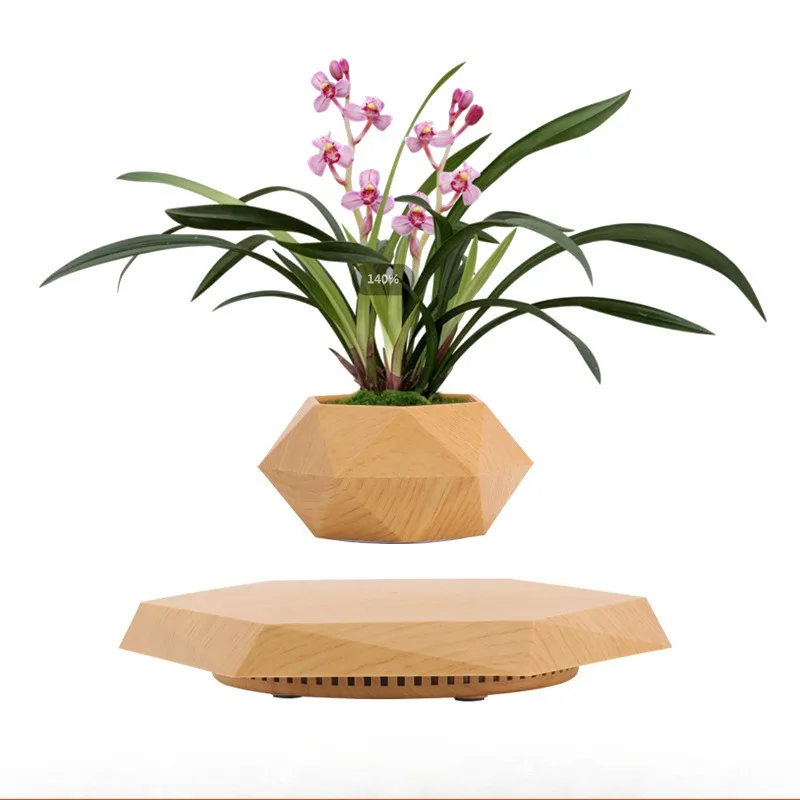 

Maglev potted plants, creative flower pots, bonsai plants